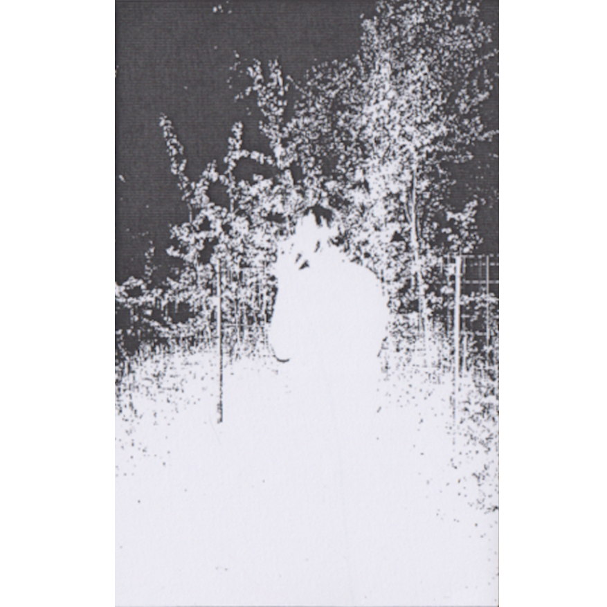 SiaubaSS / DarkneSS Split Cassette Tape