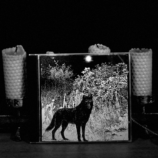 Raw Black Metal - Full Moon over the Frozen Forest CD